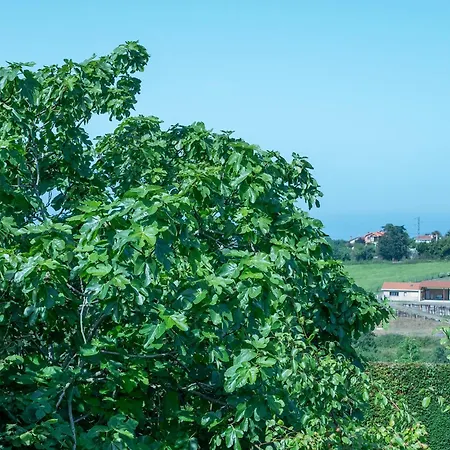 펜션 El Neru - Playa De La Nora San Clemente (Asturias)